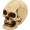 2er Set Graveyard Totenschädel Medium -Halloween Tischdekoration Verkäufe 2er set graveyard totenkopf medium graveyard skull 2pc set medium totenschaedel kaufen 52350 01 1