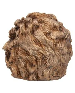 Albert Einstein Totenschädel 21cm 12 Albert Einstein Totenschädel 21cm -Halloween Tischdekoration Verkäufe albert einstein totenkopf albert einstein totenschaedel albert einstein skull 54562 04