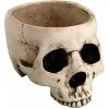 Antike Totenschädel Schale 470ml 2 Antike Totenschädel Schale 470ml -Halloween Tischdekoration Verkäufe antike totenkopf schale antike totenschaedelschale antic skull bowl 51433 01
