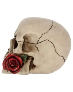 Beiger Totenschädel Mit Roter Rose 15cm -Halloween Tischdekoration Verkäufe beiger totenkopf mit roter rose beiger totenschaedel mit roter rose antic skull with red rose 53389 03