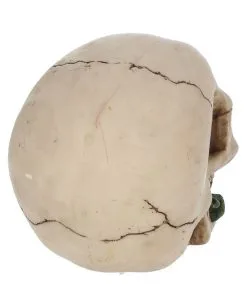 Beiger Totenschädel Mit Roter Rose 15cm -Halloween Tischdekoration Verkäufe beiger totenkopf mit roter rose beiger totenschaedel mit roter rose antic skull with red rose 53389 05