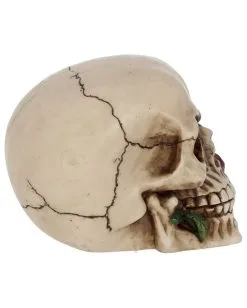 Beiger Totenschädel Mit Roter Rose 15cm -Halloween Tischdekoration Verkäufe beiger totenkopf mit roter rose beiger totenschaedel mit roter rose antic skull with red rose 53389 06