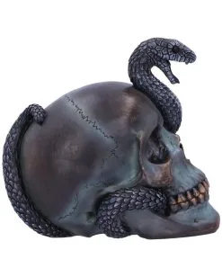 Schuppige Schlange In Totenkopf 19cm -Halloween Tischdekoration Verkäufe das schicksal der schlange gothic schaedel 19cm serpentine fate gothic snake skull gothic deko totenkopf 53993 4