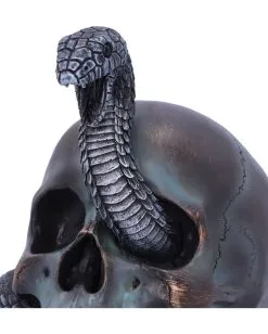 Schuppige Schlange In Totenkopf 19cm -Halloween Tischdekoration Verkäufe das schicksal der schlange gothic schaedel 19cm serpentine fate gothic snake skull gothic deko totenkopf 53993 5