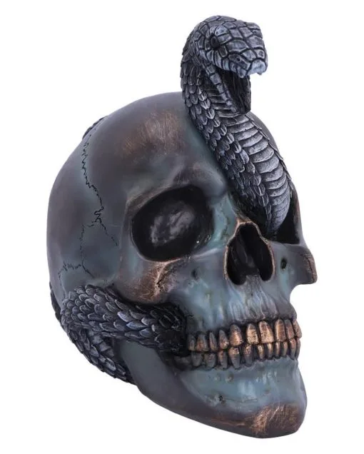 Schuppige Schlange In Totenkopf 19cm -Halloween Tischdekoration Verkäufe das schicksal der schlange gothic schaedel 19cm serpentine fate gothic snake skull gothic deko totenkopf 53993