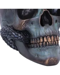 Schuppige Schlange In Totenkopf 19cm -Halloween Tischdekoration Verkäufe das schicksal der schlange gothic schaedel 19cm serpentine fate gothic snake skull gothic deko totenkopf 53993 6