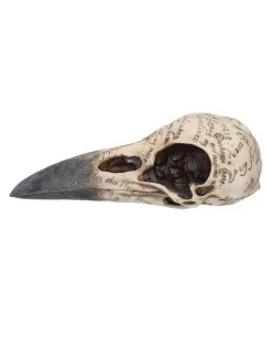 Edgar´s Raben Totenschädel 8 Edgar´s Raben Totenschädel -Halloween Tischdekoration Verkäufe edgars raben skelettschaedel edgars raben totenschaedel edgars raven skull 39198 03