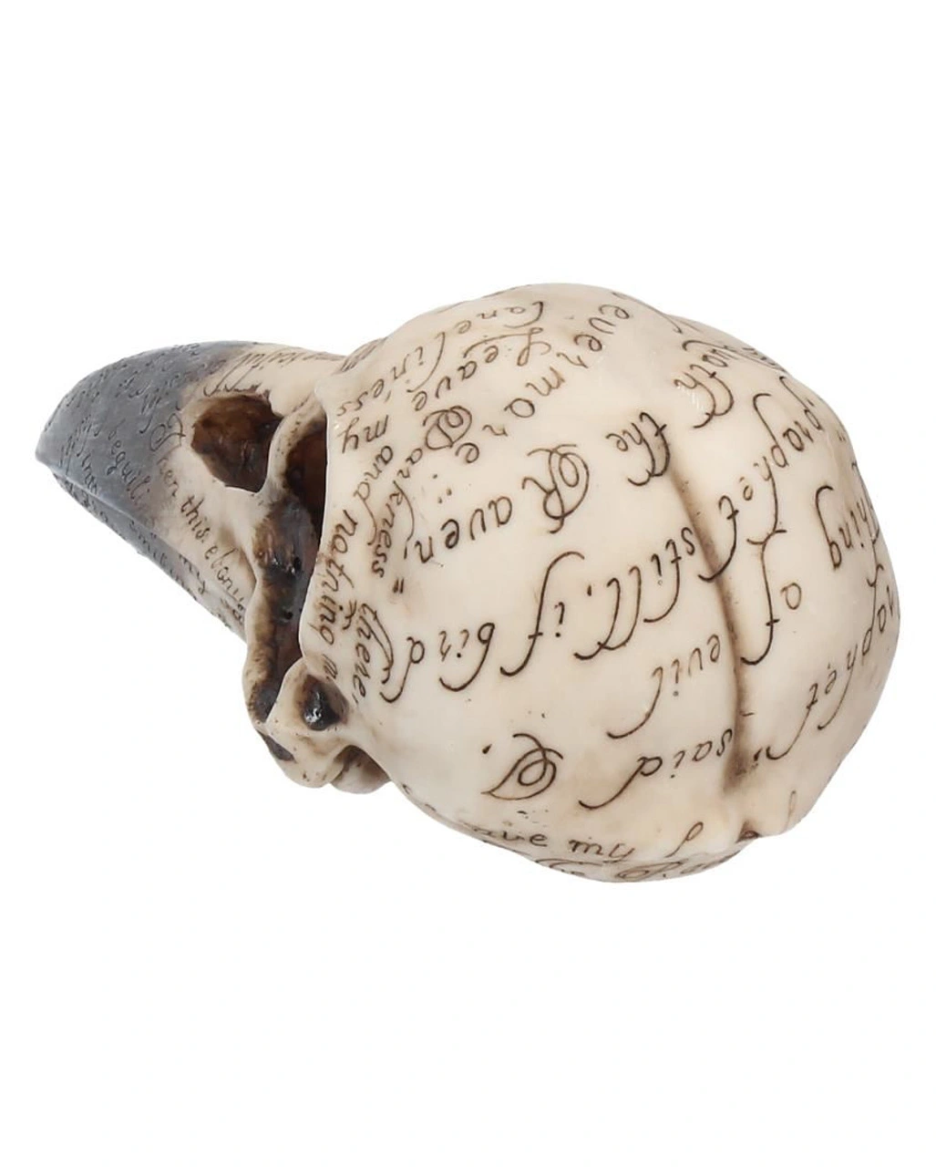 Edgar´s Raben Totenschädel 6 Edgar´s Raben Totenschädel – Bild 4