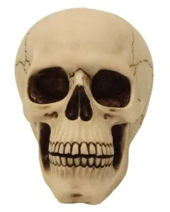 Graveyard Totenschädel Large -Halloween Tischdekoration Verkäufe graveyard totenkopf large graveyard totenschaedel graveyard skull large gothic deko 52351 02