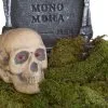 Grünes Deko Moos 80g -Halloween Tischdekoration Verkäufe halloween deko moos 80g halloween friedhof dekoration moos halloween decoration 24542