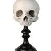 J. DOE Totenschädel Auf Sockel 20cm -Halloween Tischdekoration Verkäufe j doe totenkopf auf sockel j doe totenschaedel auf sockel j doe skull plinth gothic homware 54857 04