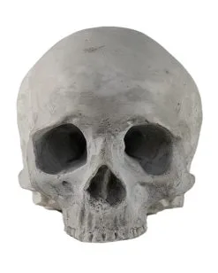J. DOE Totenschädel 17cm 7 J. DOE Totenschädel 17cm -Halloween Tischdekoration Verkäufe j doe totenkopf j doe totenschaedel ghotic totenkopf gothic wohnaccessoire gothic homware 54856 03