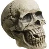 Verwitterter Skull Totenkopf -Halloween Tischdekoration Verkäufe rotting skull totenschaedel verwitterter totenkopf halloween deko 28000