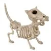 Hunde Skelett Mit Knochen 27cm 1 Hunde Skelett Mit Knochen 27cm -Halloween Tischdekoration Verkäufe skelett hund mit knochen hunde skelett mit knochen skeleton dog with bone 52641 01