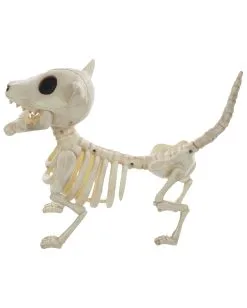 Hunde Skelett Mit Knochen 27cm -Halloween Tischdekoration Verkäufe skelett hund mit knochen hunde skelett mit knochen skeleton dog with bone 52641 03
