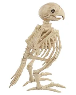 Papagei Skelett 19cm -Halloween Tischdekoration Verkäufe skelett papagei skeleton parrot halloween dekoration 52638 03