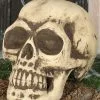 Totenschädel 32cm -Halloween Tischdekoration Verkäufe totenkopf 32cm totenschaedel halloween dekoration skull decoration 35978