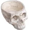 Totenschädel Schale 28cm -Halloween Tischdekoration Verkäufe totenkopf schale totenschaedel schale skull planter totenkopf dekoration 51403 01