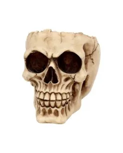 Realistische Totenschädel Schale Mit Offener Schädeldecke -Halloween Tischdekoration Verkäufe totenschaedel schale mit offener schaedeldecke realistic skull mug morbide gothic deko halloween deko totenschaedel 39289 3
