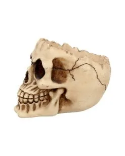 Realistische Totenschädel Schale Mit Offener Schädeldecke -Halloween Tischdekoration Verkäufe totenschaedel schale mit offener schaedeldecke realistic skull mug morbide gothic deko halloween deko totenschaedel 39289 4