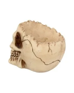 Realistische Totenschädel Schale Mit Offener Schädeldecke -Halloween Tischdekoration Verkäufe totenschaedel schale mit offener schaedeldecke realistic skull mug morbide gothic deko halloween deko totenschaedel 39289 5