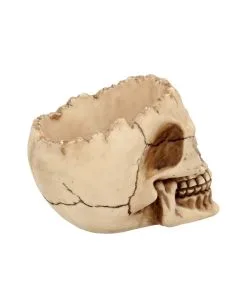 Realistische Totenschädel Schale Mit Offener Schädeldecke -Halloween Tischdekoration Verkäufe totenschaedel schale mit offener schaedeldecke realistic skull mug morbide gothic deko halloween deko totenschaedel 39289 6