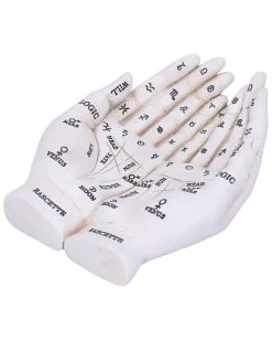 Weiße Chiromantie-Hände Teelichthalter -Halloween Tischdekoration Verkäufe weisse handlese haende kerzenhalter weisse chiromantie haende teelichthalter 51058 05