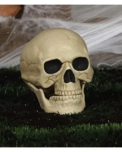 Wetterfester Totenschädel Mit Beweglichem Kiefer 20cm -Halloween Tischdekoration Verkäufe wetterfester totenkopf mit beweglichem kiefer weatherproof skull with moveable jaw halloween totenschaedel 53405 04